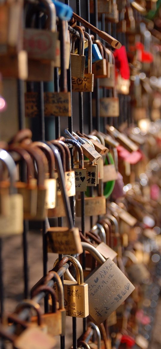 篱笆老干部闲聊区 App 发布页面截图：标题输入框、版块选择器和已添加的三张图片缩略图，右上角显示草稿已自动保存